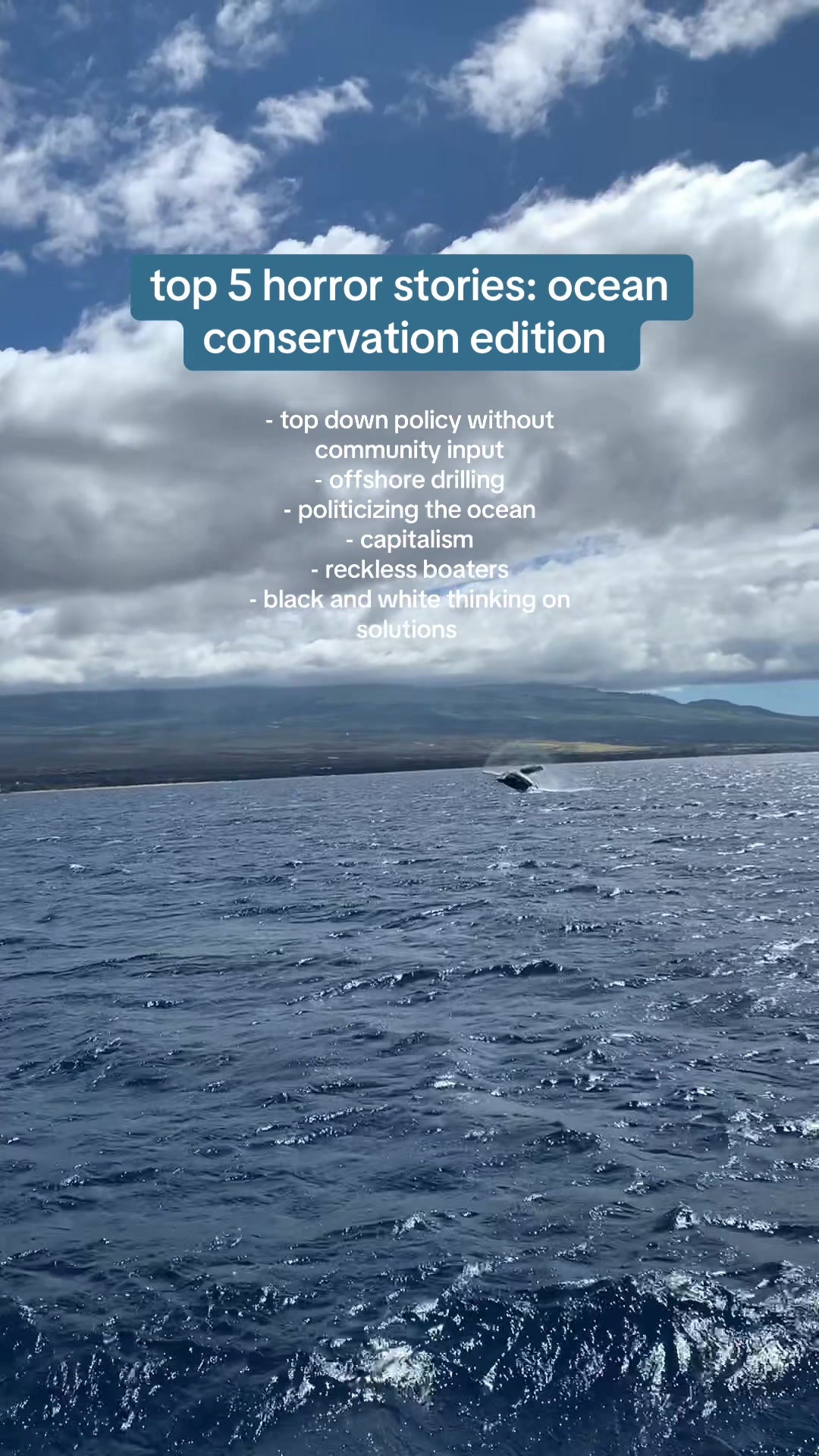 @Carissa 🐋🩵🌊