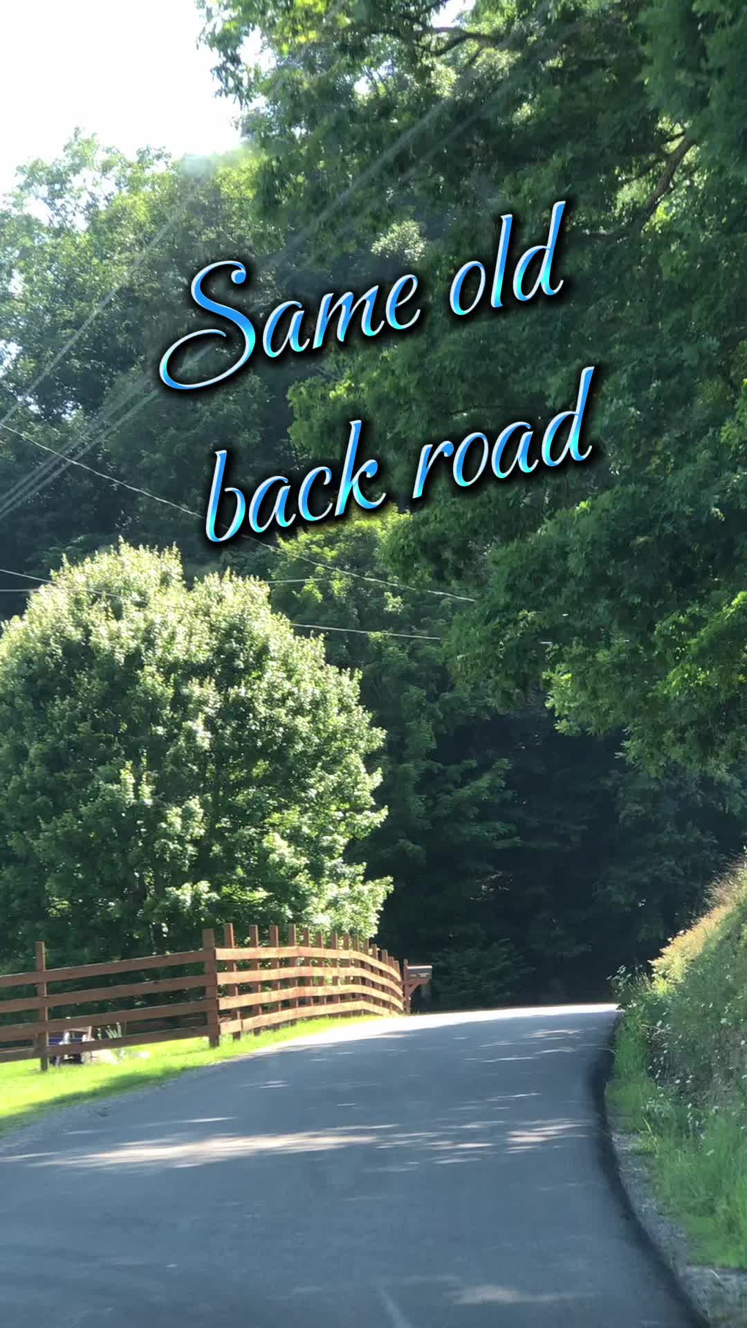 @robinfrazier40