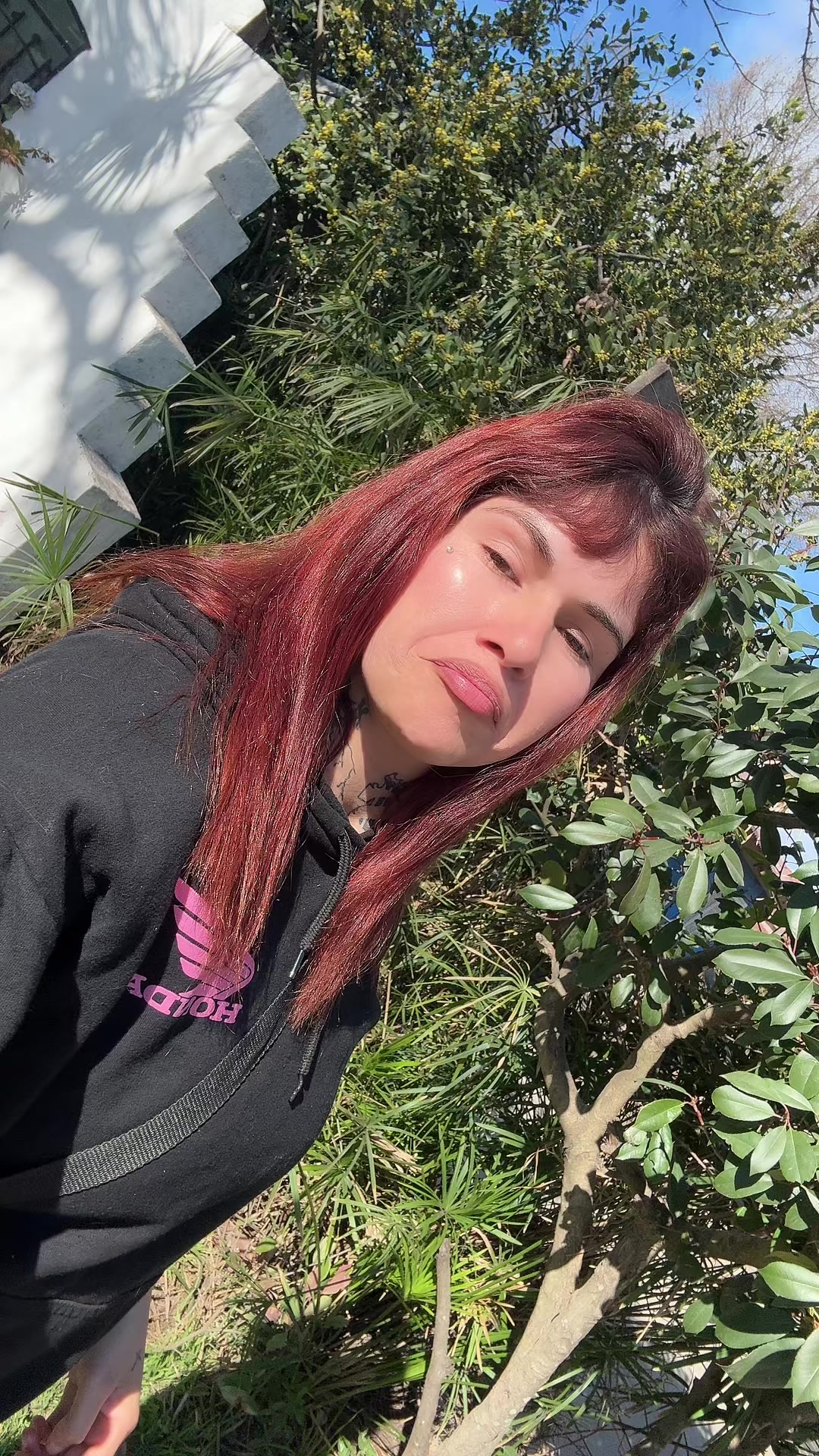 @Lapichuus420