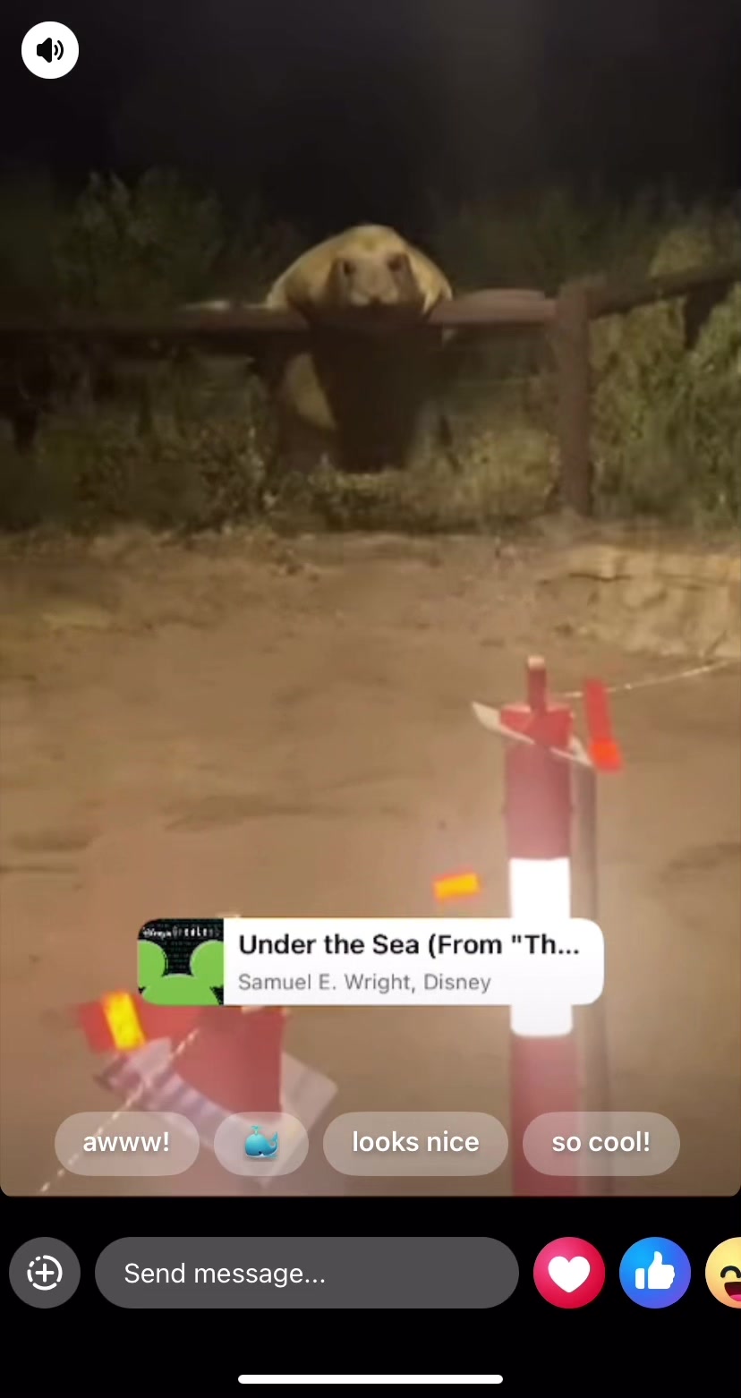 @Neil the Seal 🦭