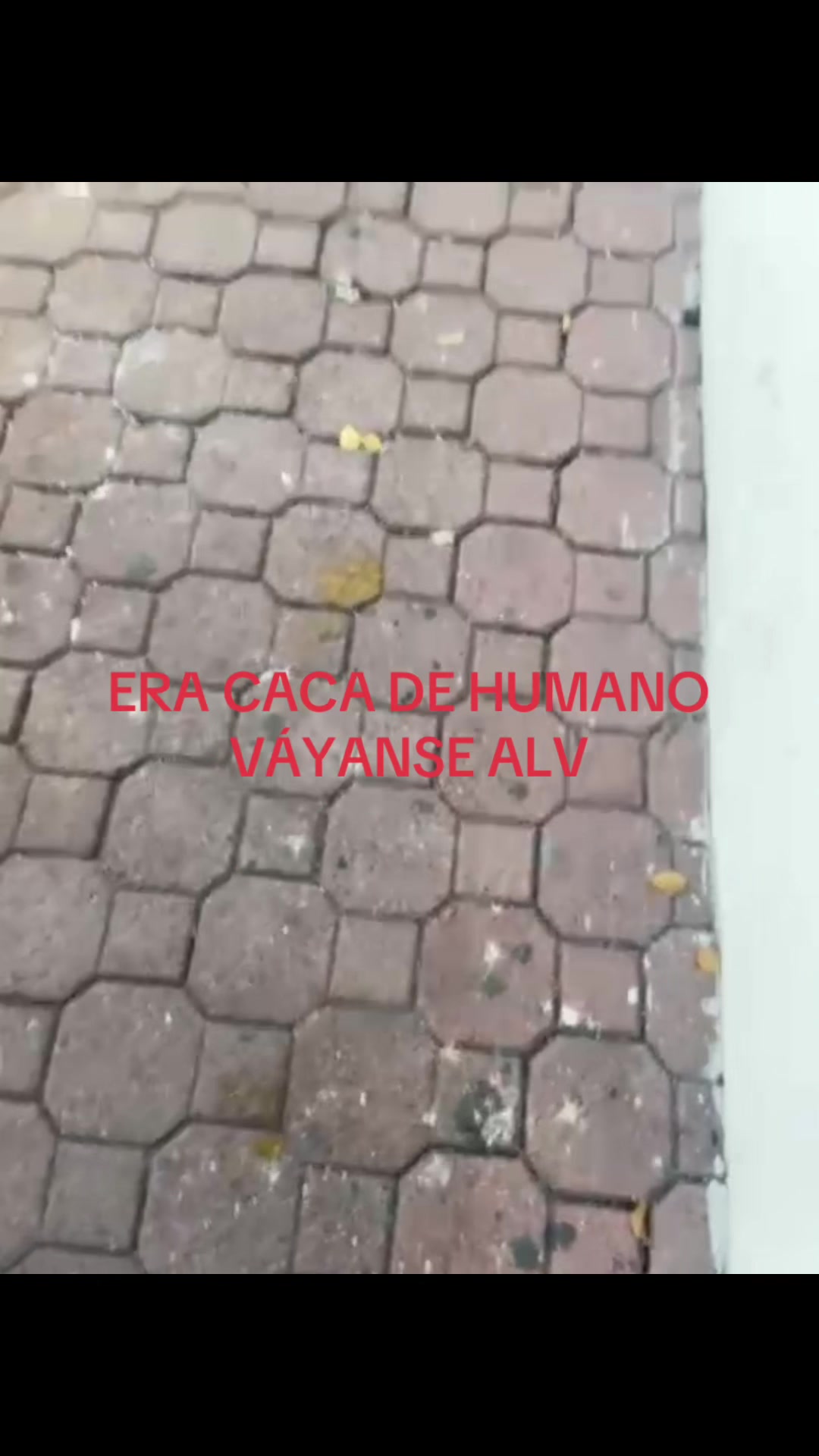 @malu ✮