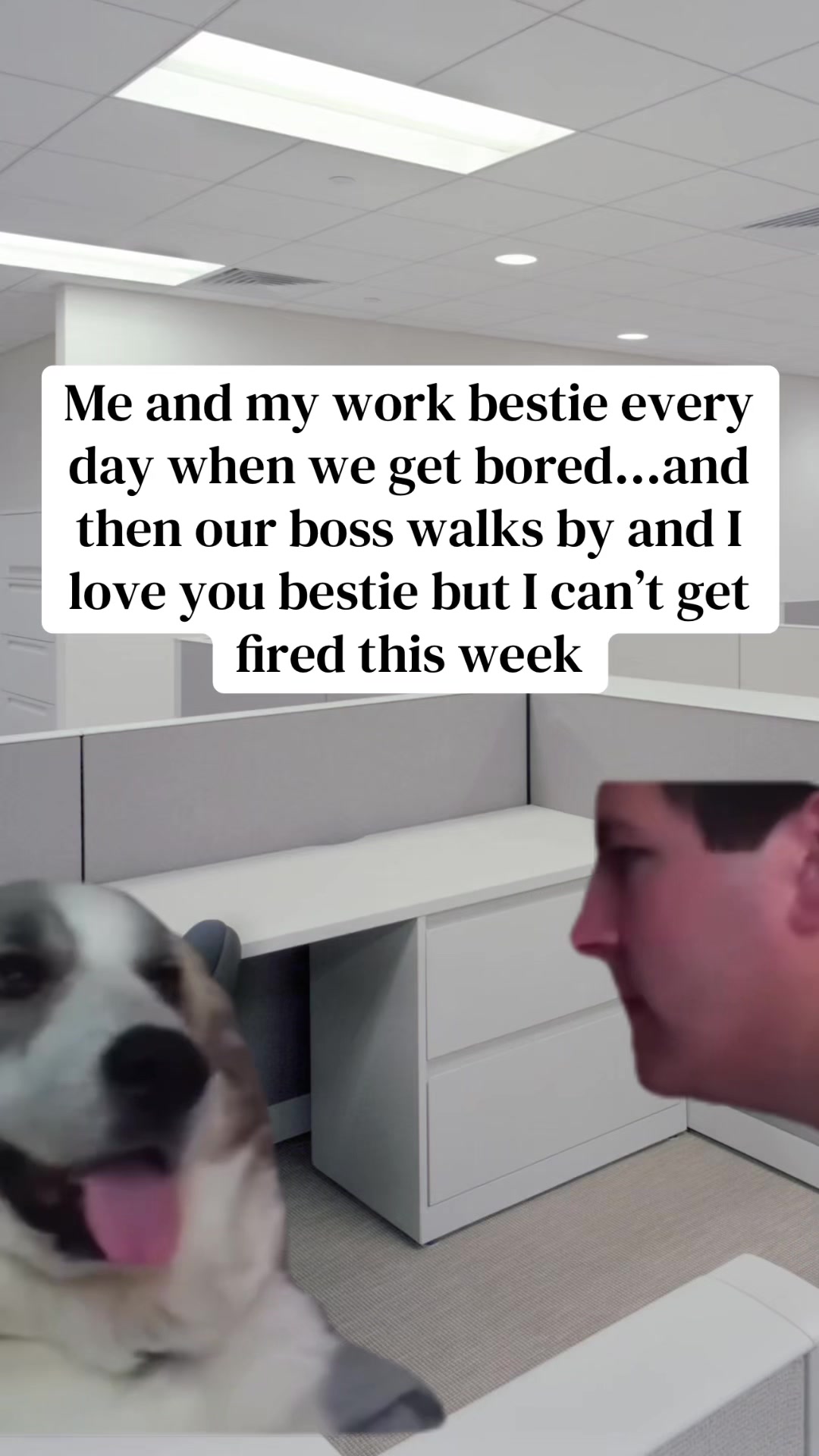 @Office Snark w/ Mackenna B