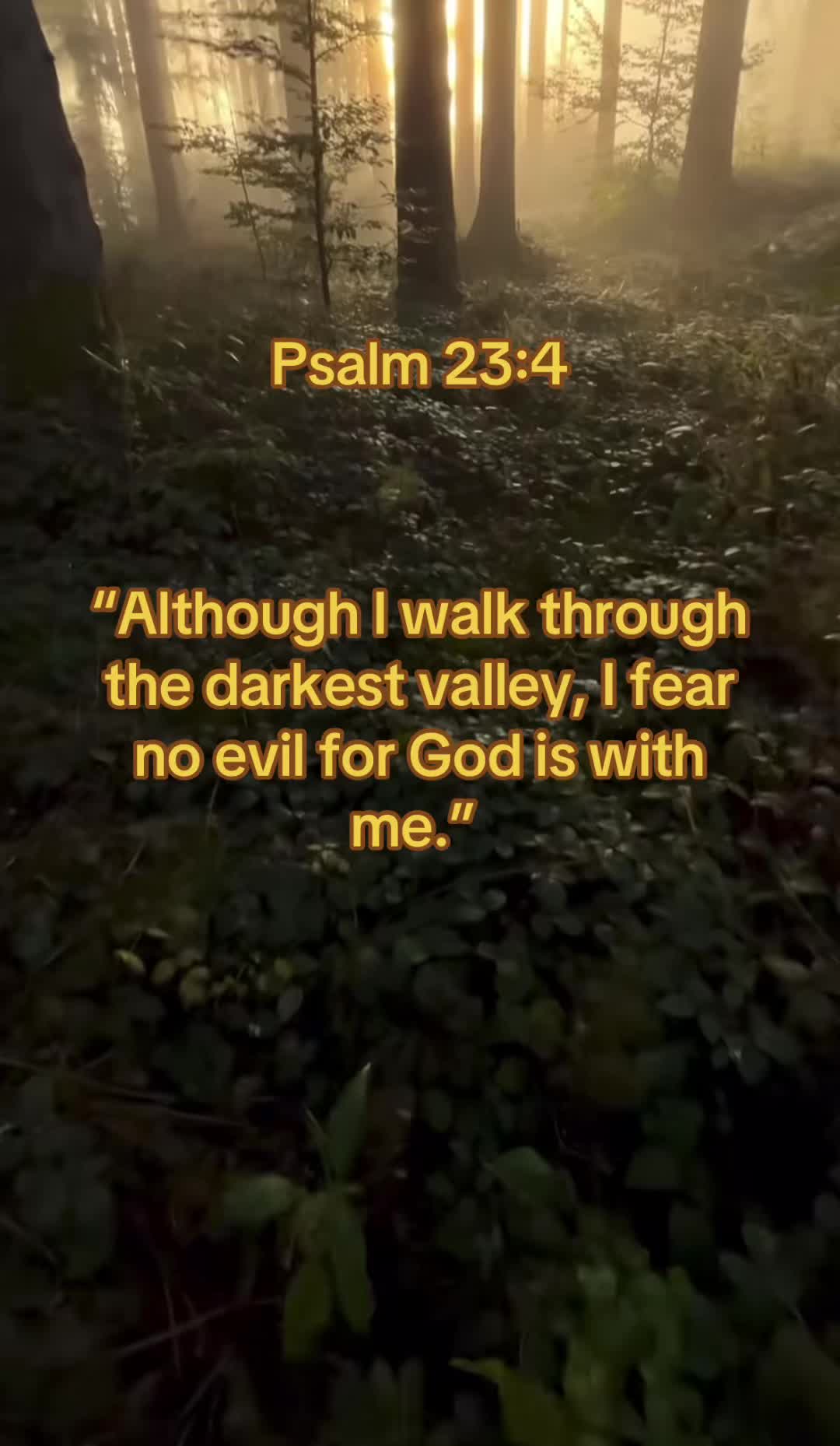 @Jesus is king✝️