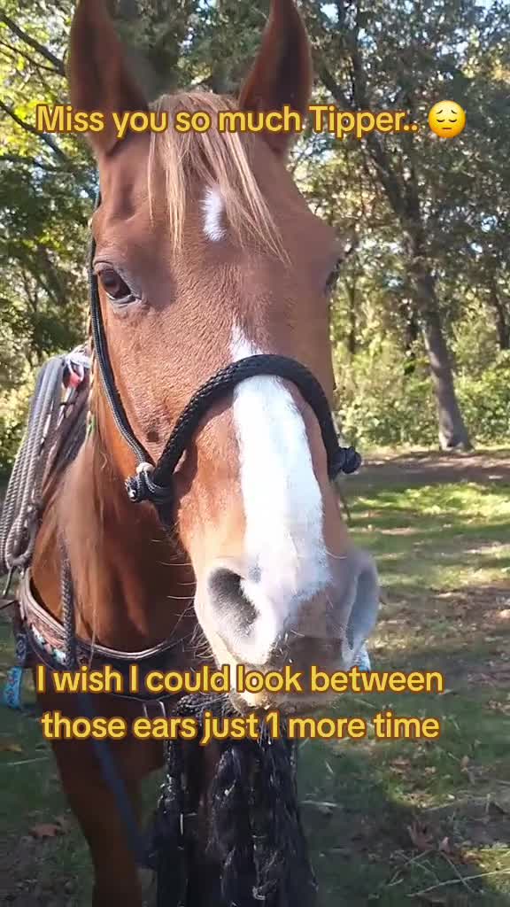 @Small Town Farm LLC