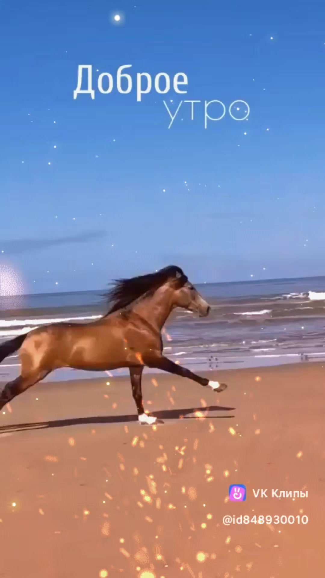 @A N G E L )))
