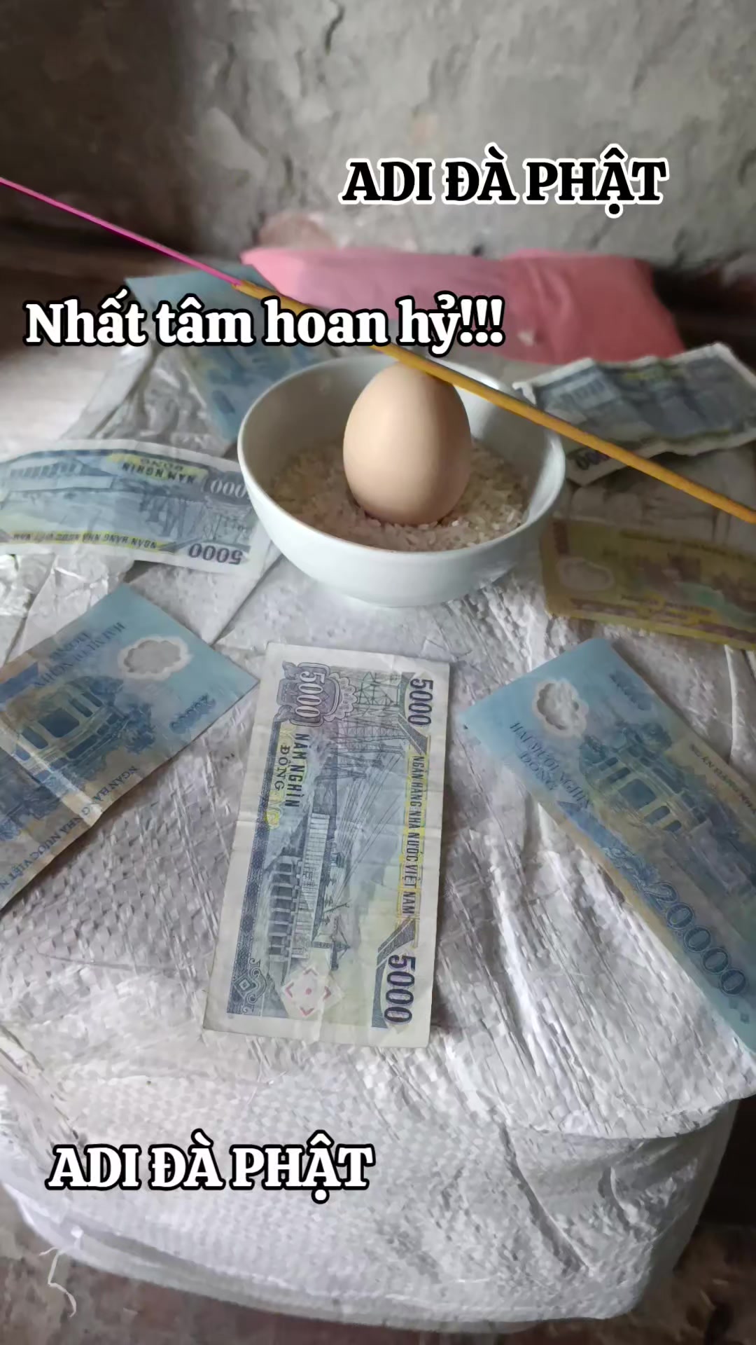 @THẦY TH&Iacute;CH MINH ĐẠT
