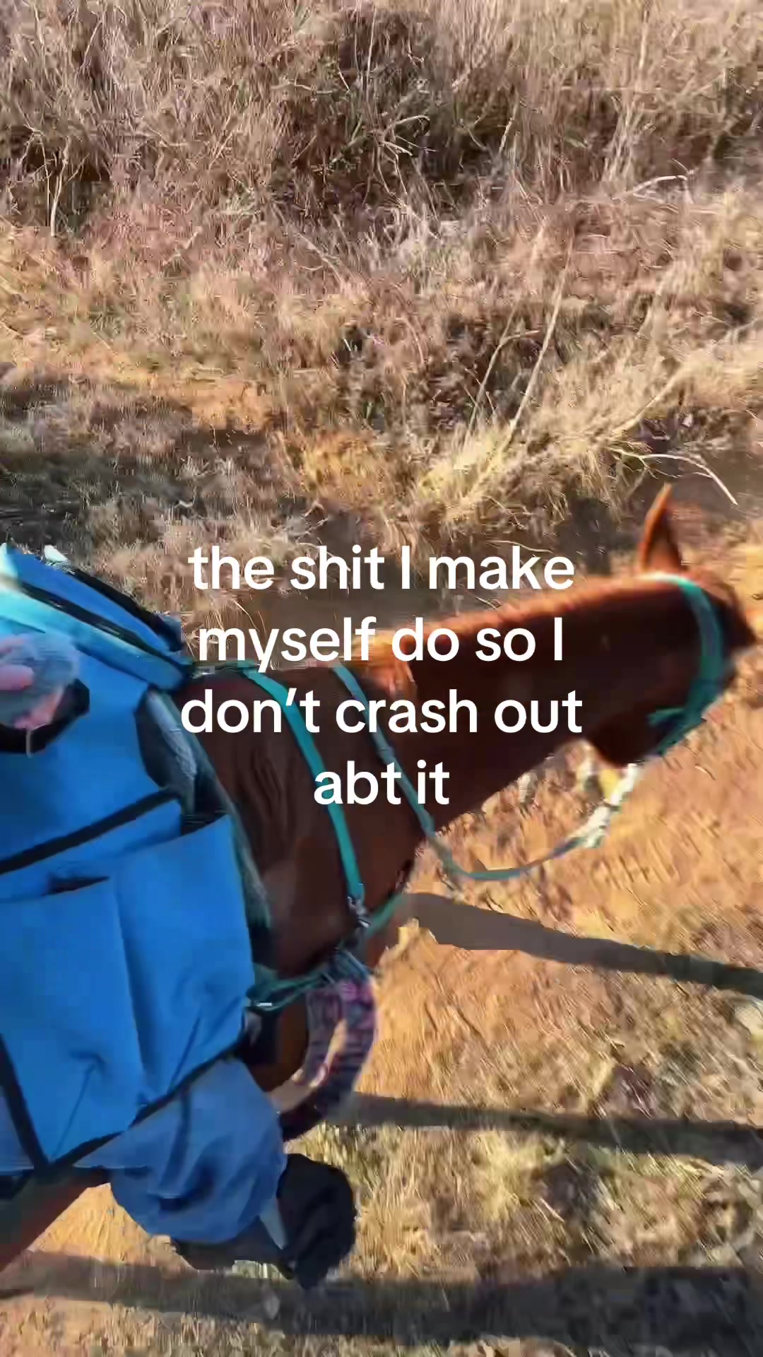 @cait