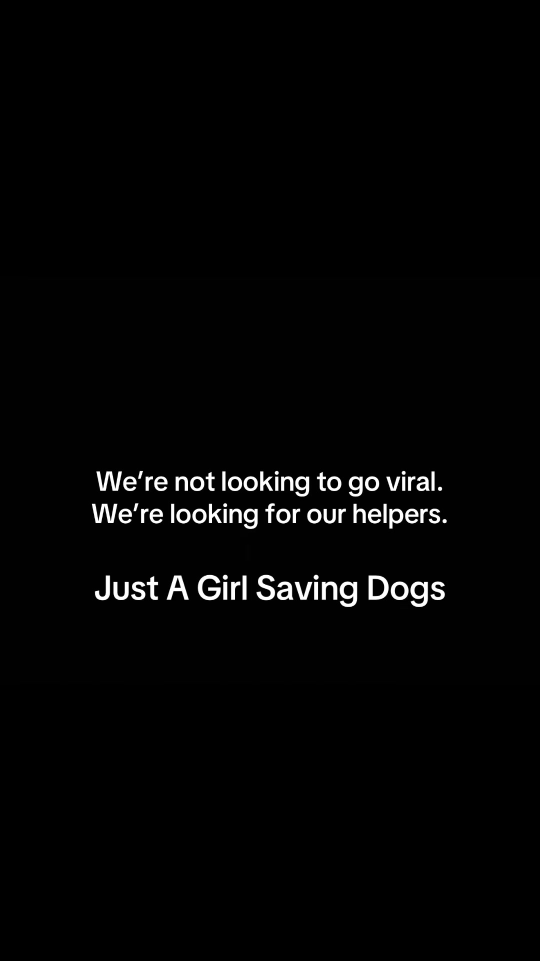 @Just A Girl Saving Dogs