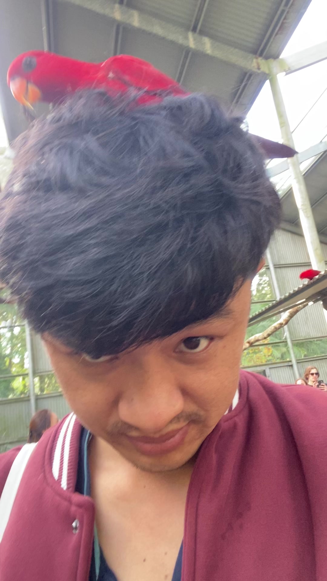 @Roshan Pun