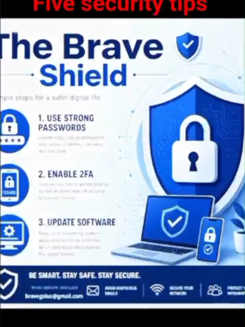 @The Brave Shield