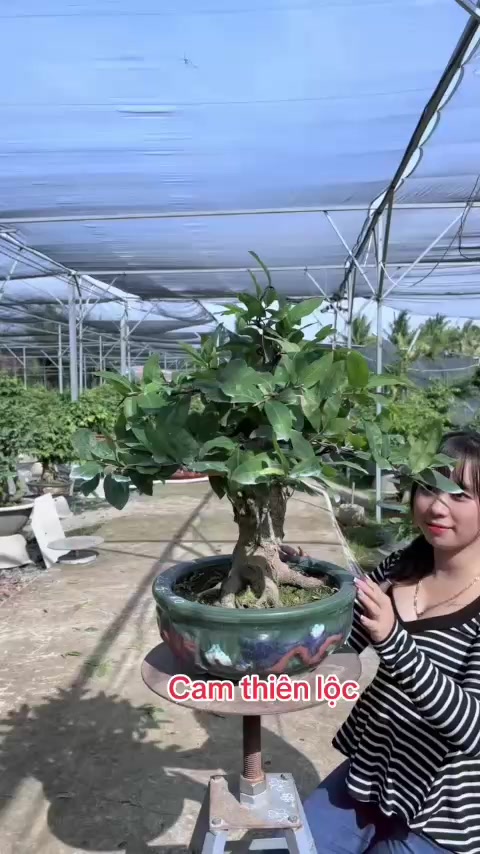 @Chichchoebong79