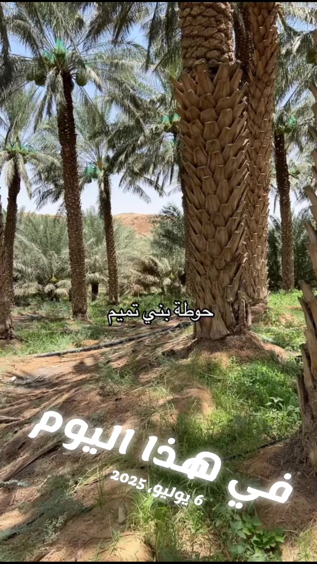 @عبدالله التميمي