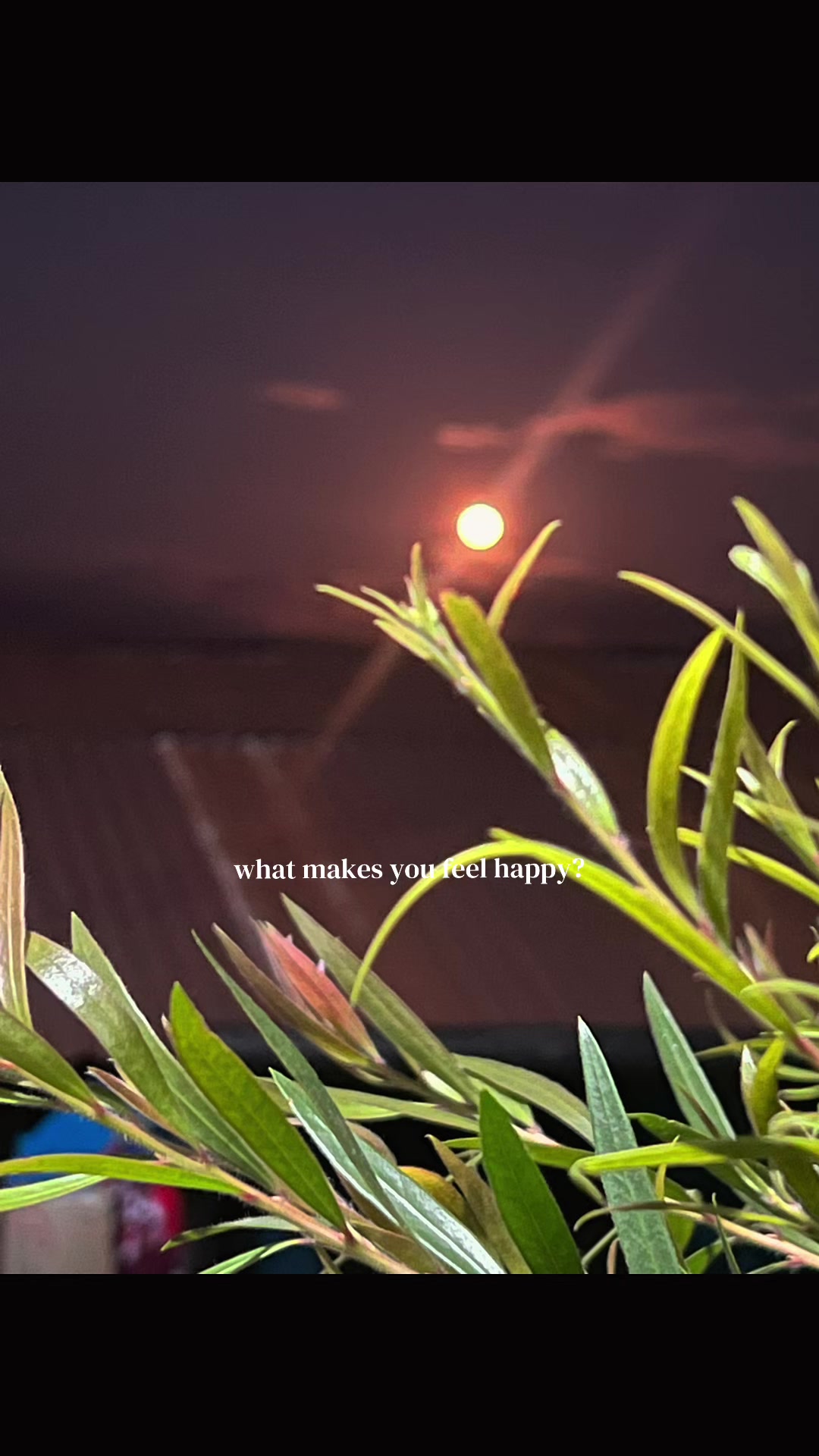 @Manzukc💚💫