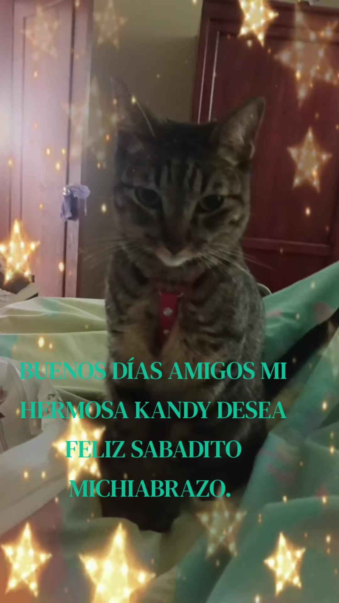 @minyna102