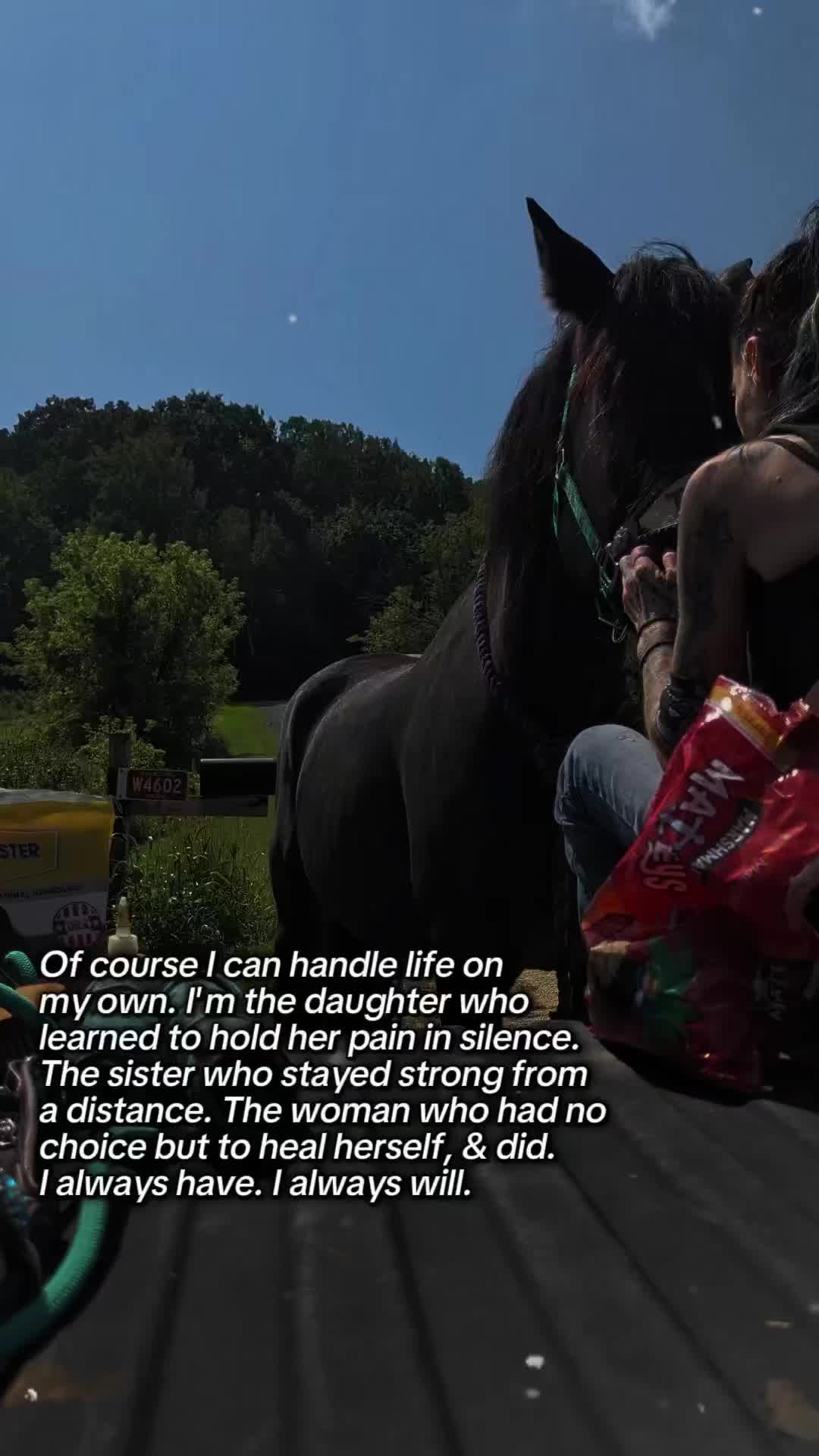 @RogueCowPonies