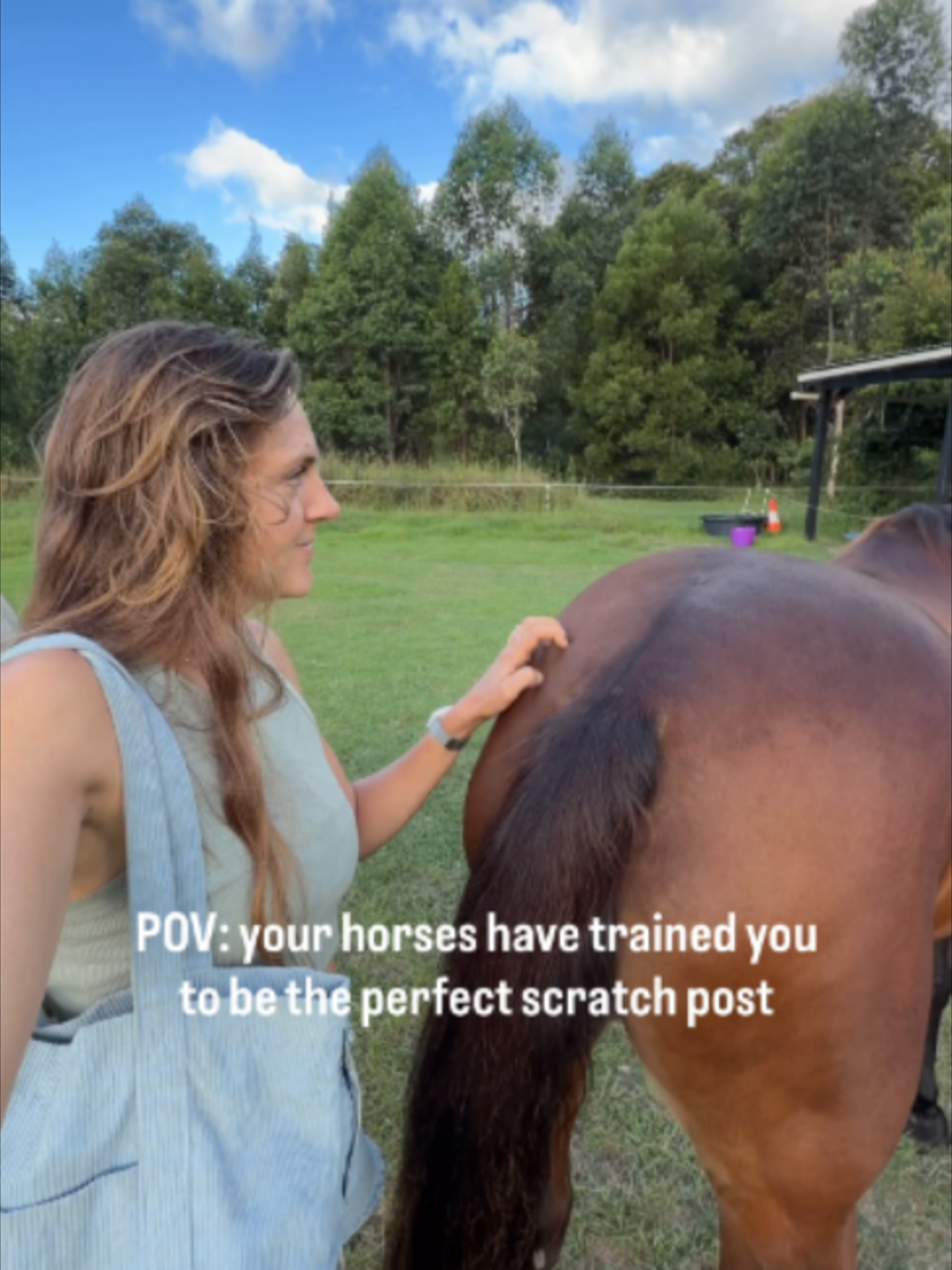 @Myhorsewillow