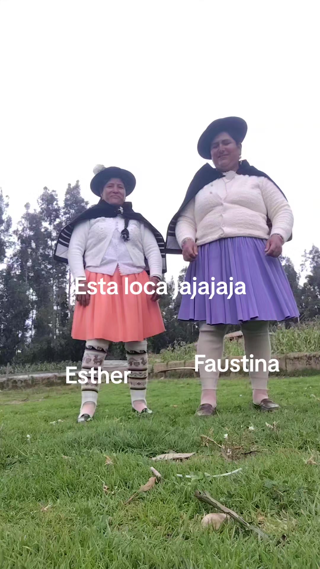 @Faustina Antezana flores