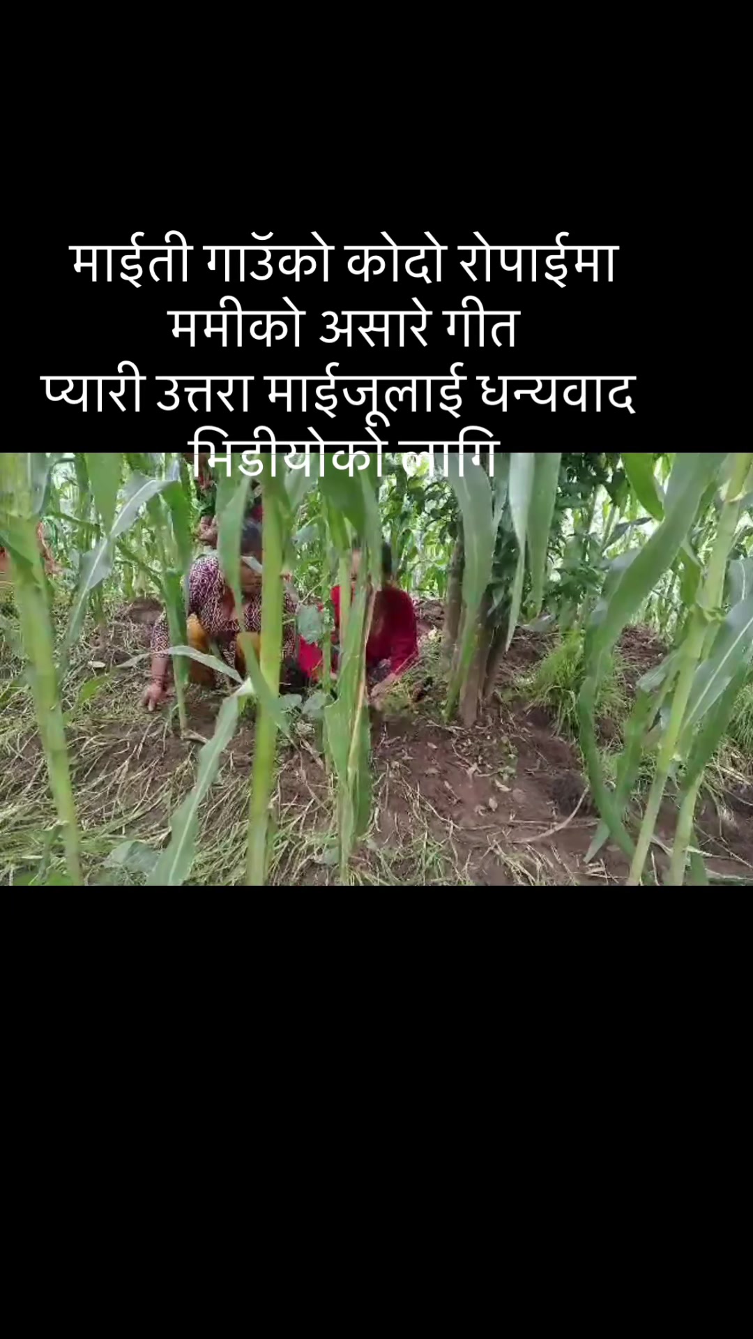 @maiya karki