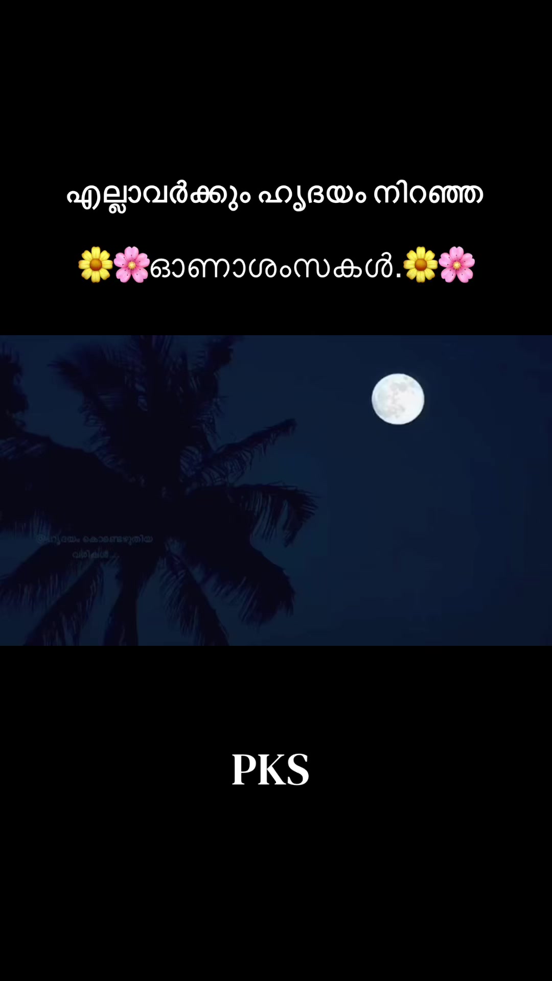 @PK.ShaFeeQ RUH❤️
