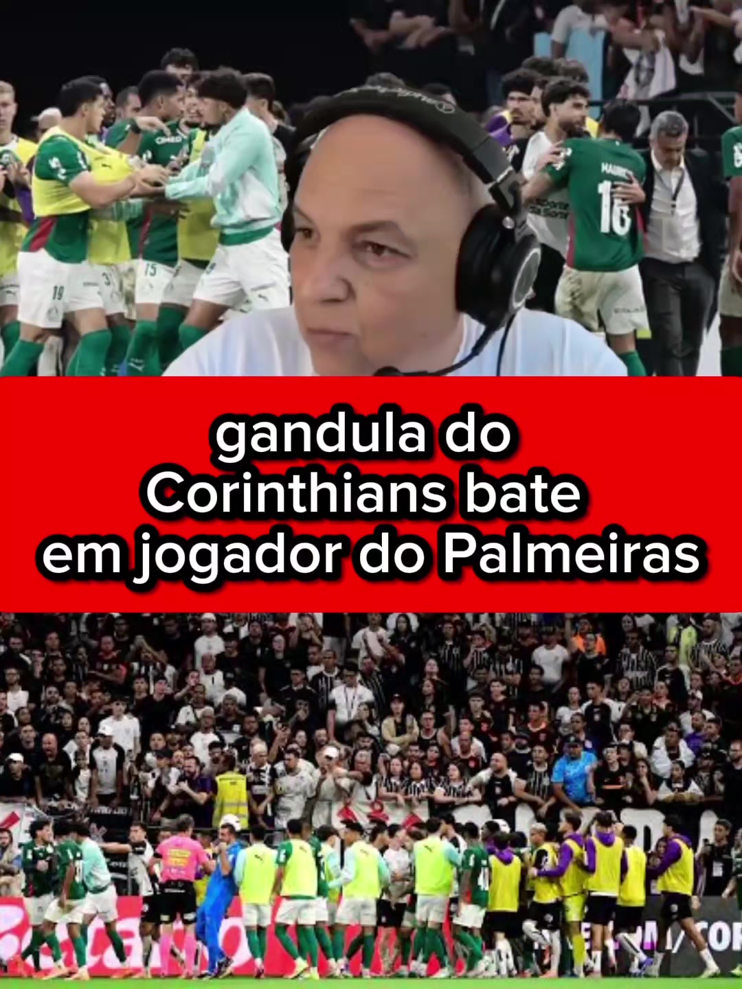 @fox sports