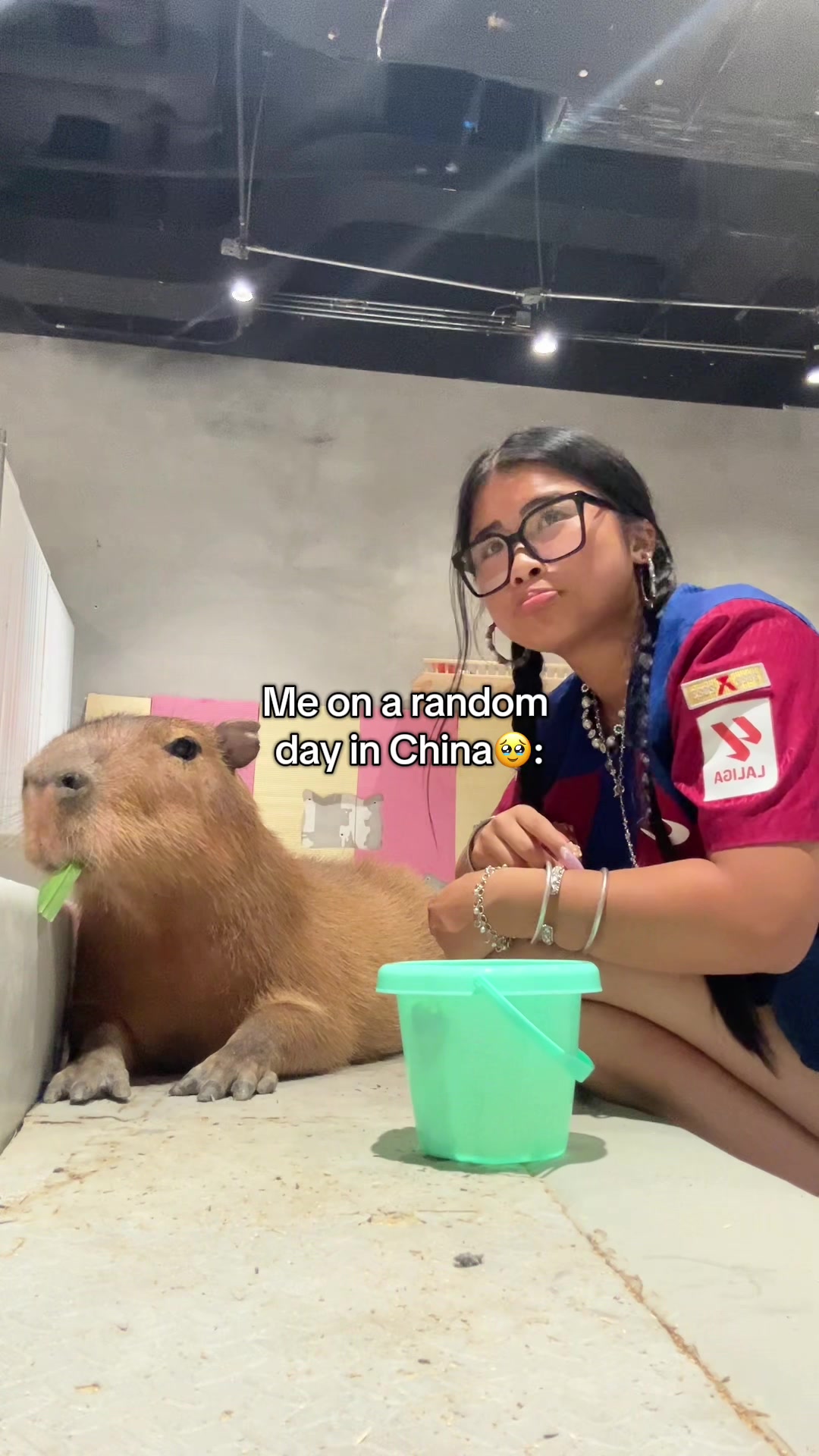 @Jaimee Tang