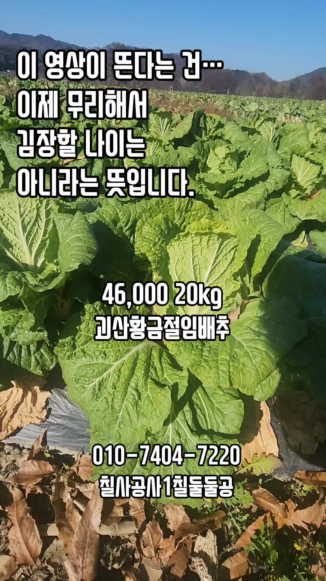 @새콤과일장터