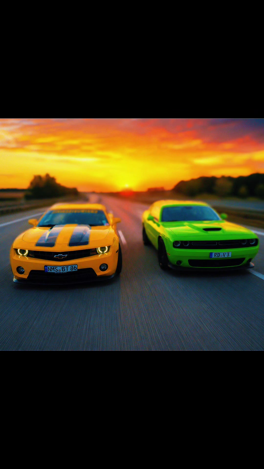 @Tanja & Bumblebee