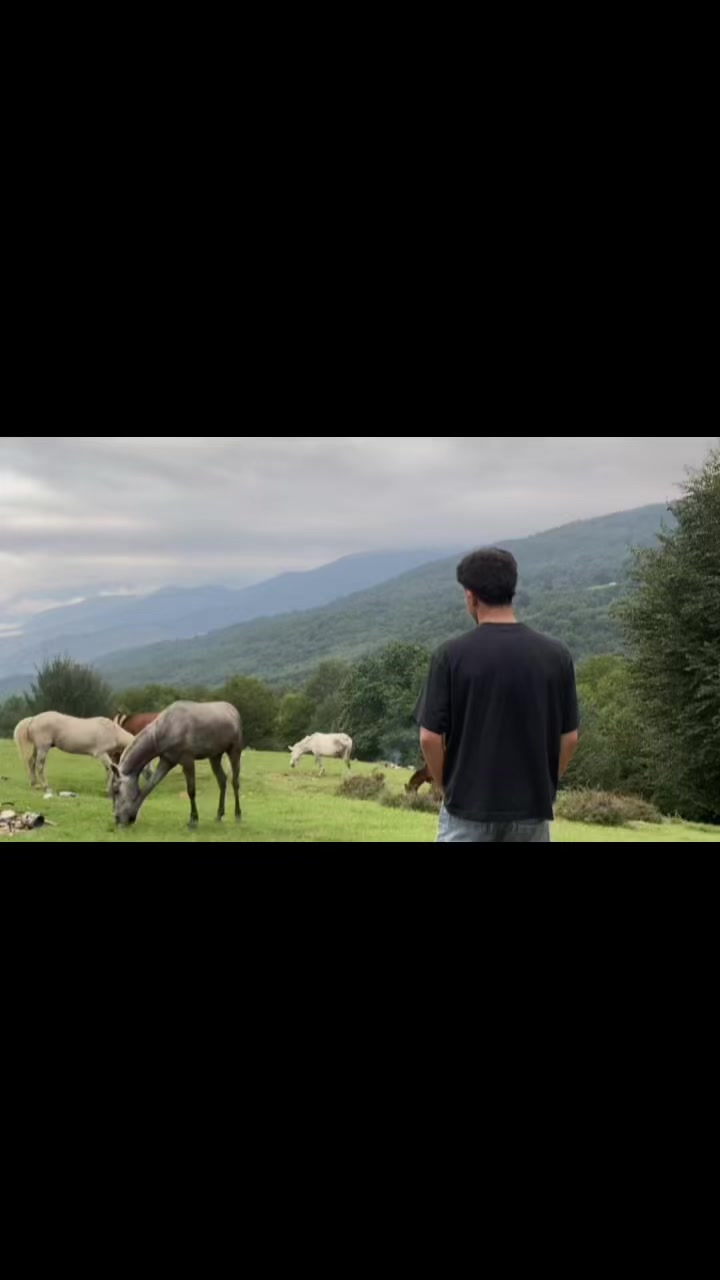@ممد محسنی