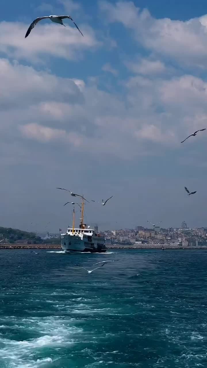 @Hasret rüzgarları🥀