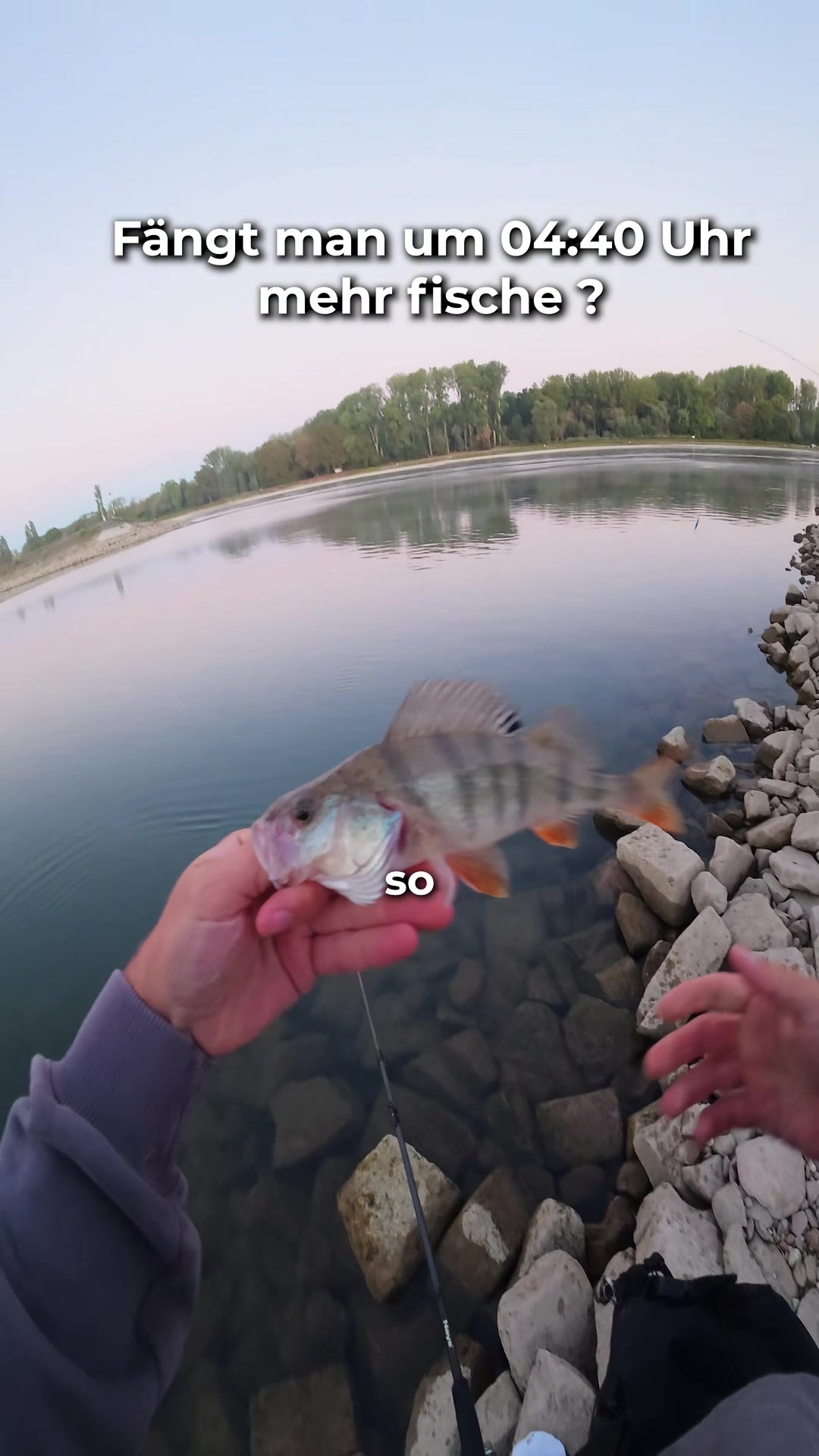 @Gian Fishing