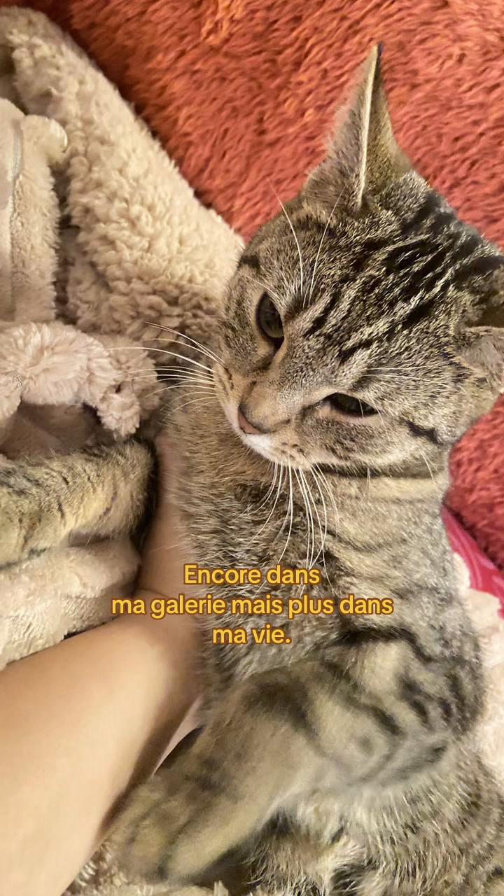 @lovely 🫐