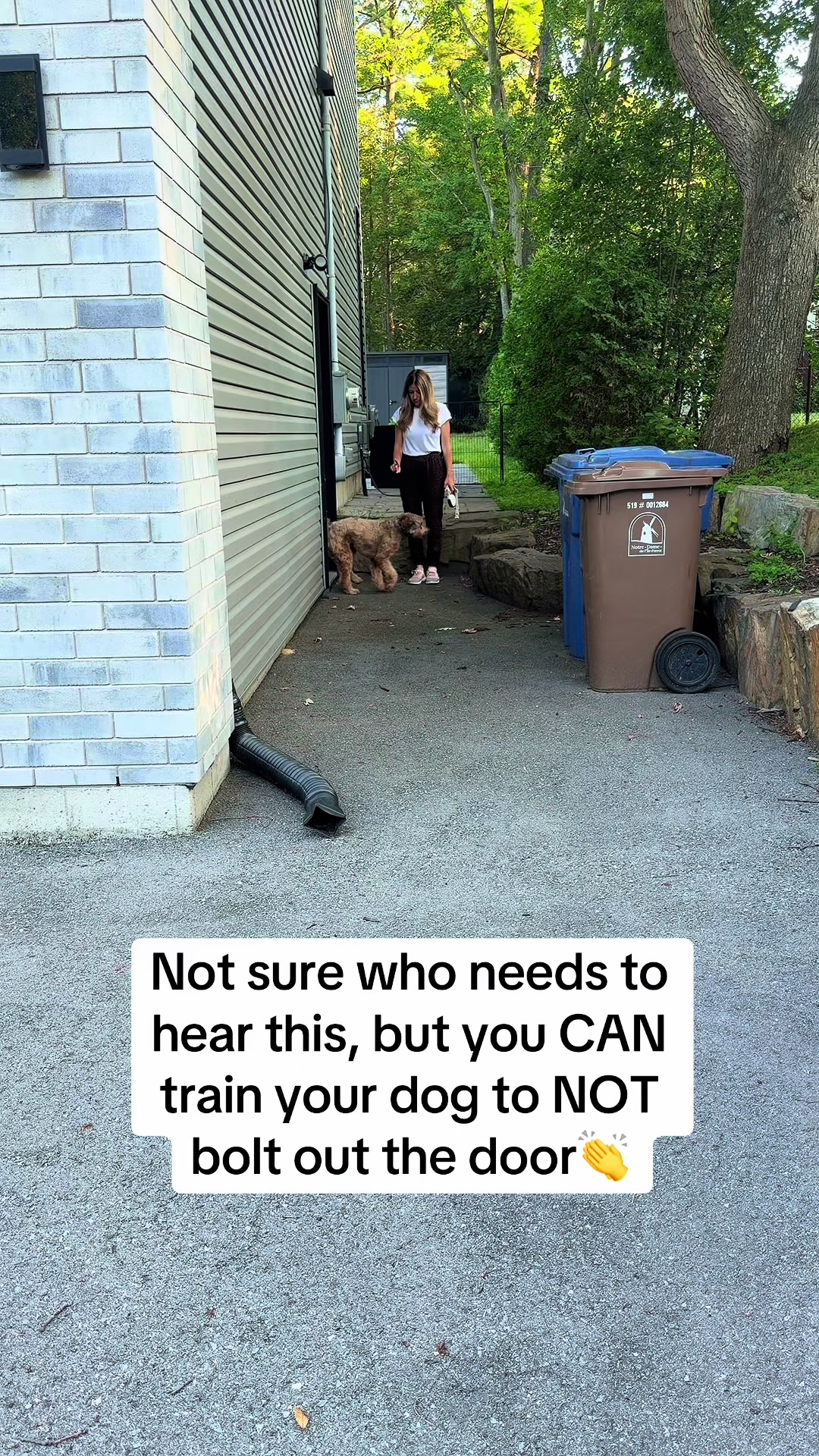 @Dogs Made Simple