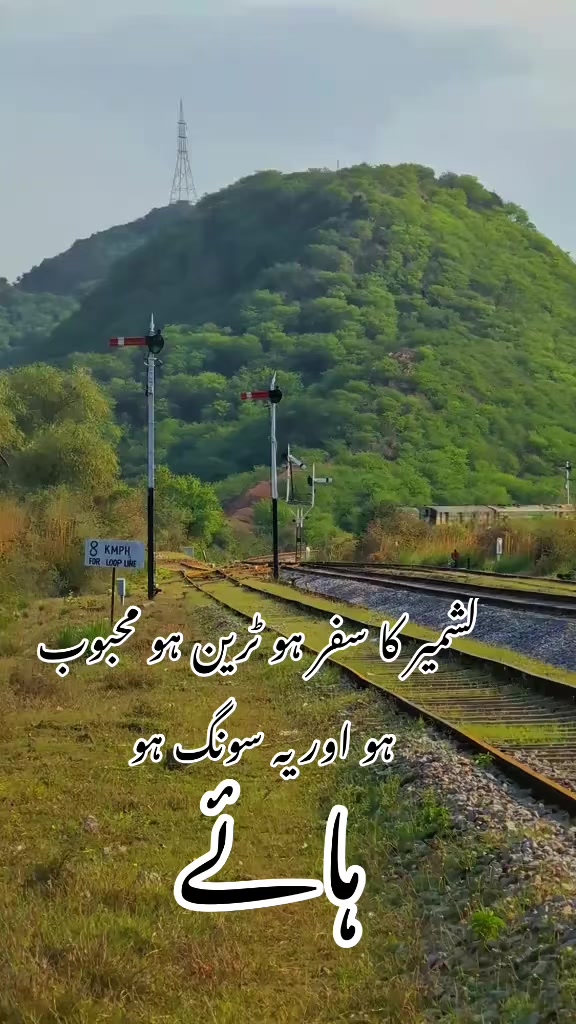 @foji sajjad