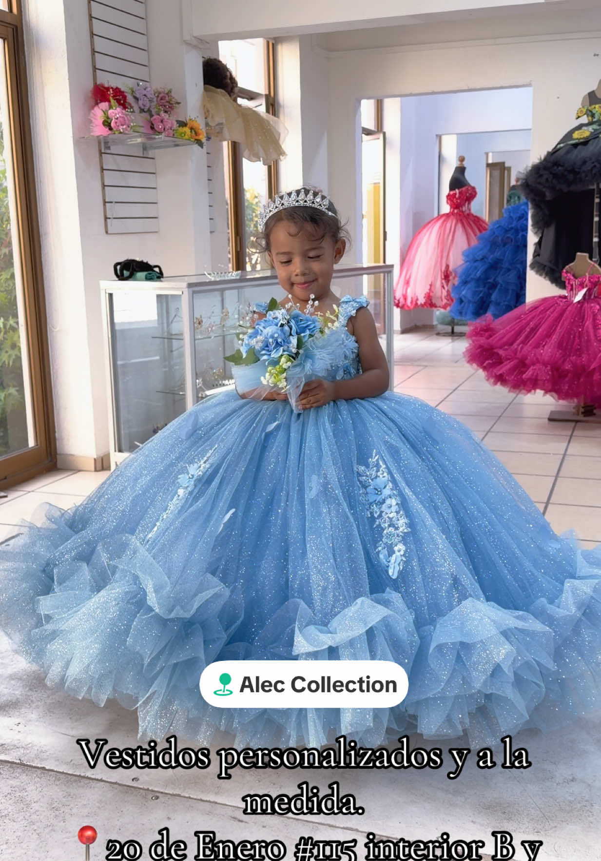 @Alec Collection