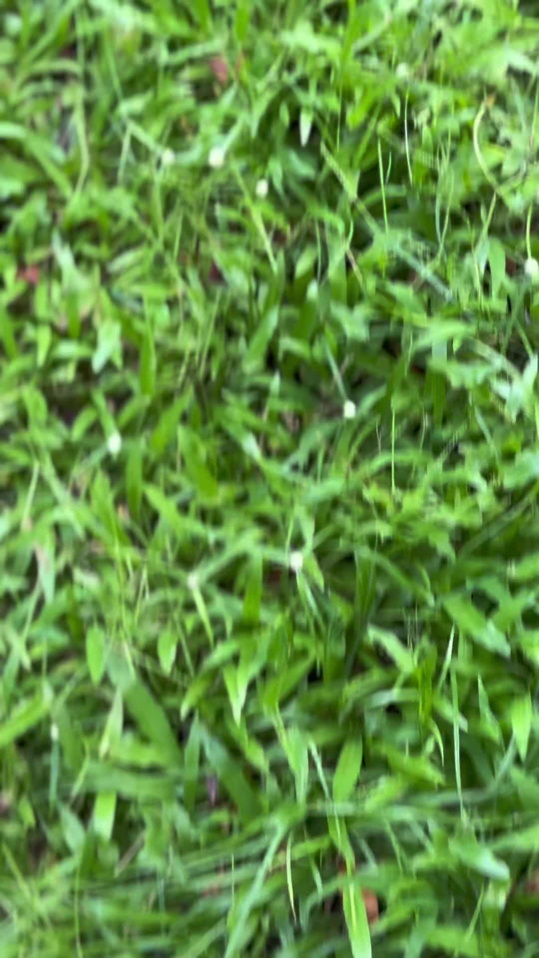 @โ