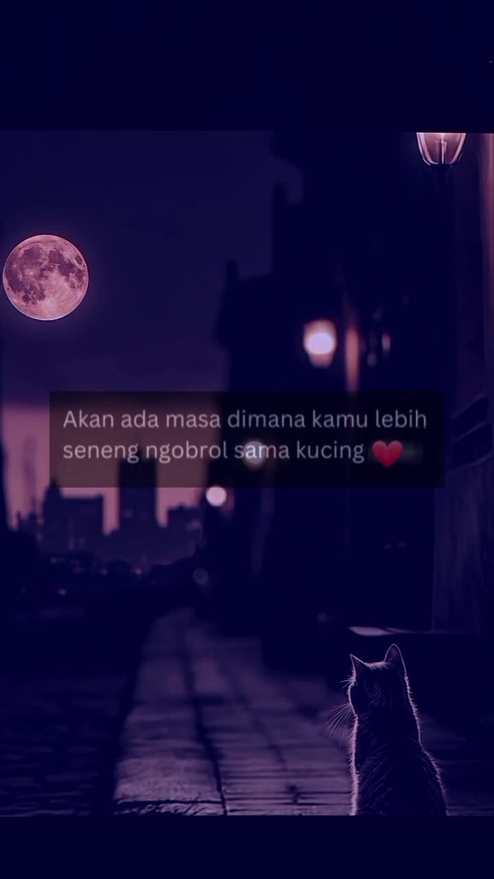 @𝐙&alpha;𝒾ℕ🐾
