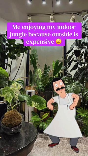 @PlantLadyNico🪴