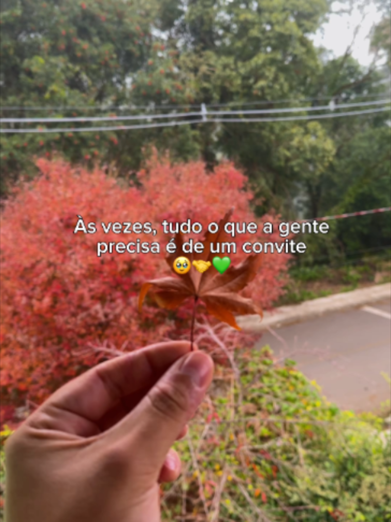 @Laçador de Ofertas