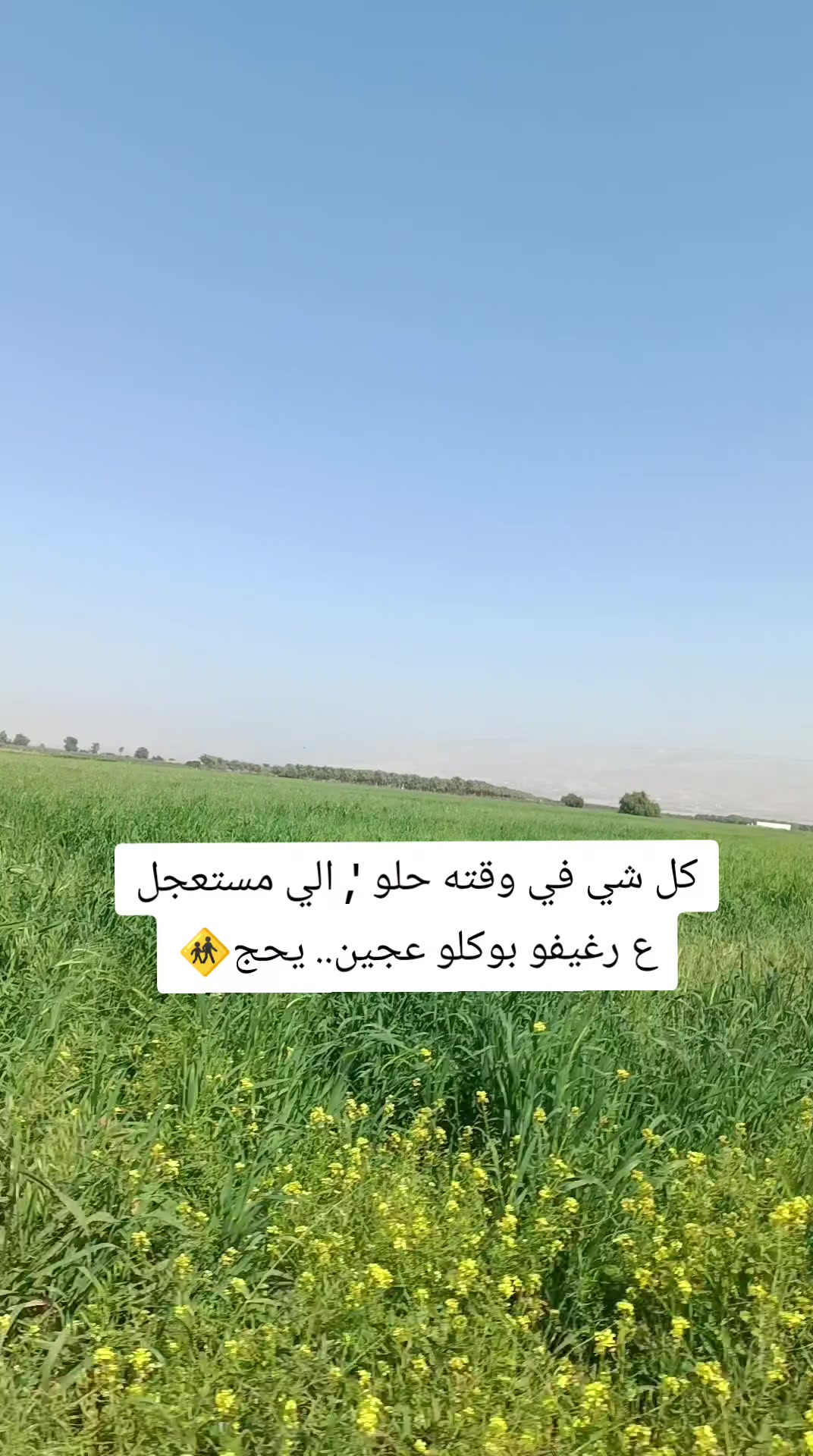 @𓅓༺ عـدِيّ ༻𓅓
