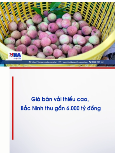 @Nội dung số v&agrave; Truyền th&ocirc;ng