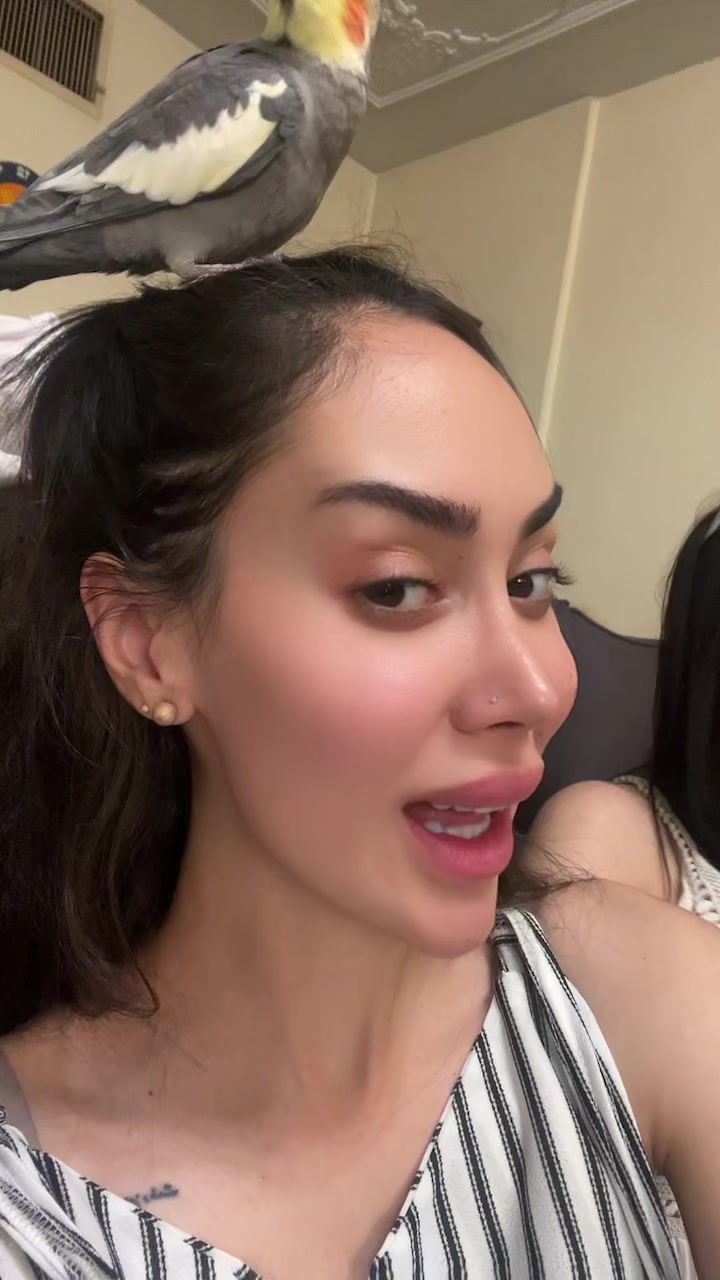 @frnzmohmdi