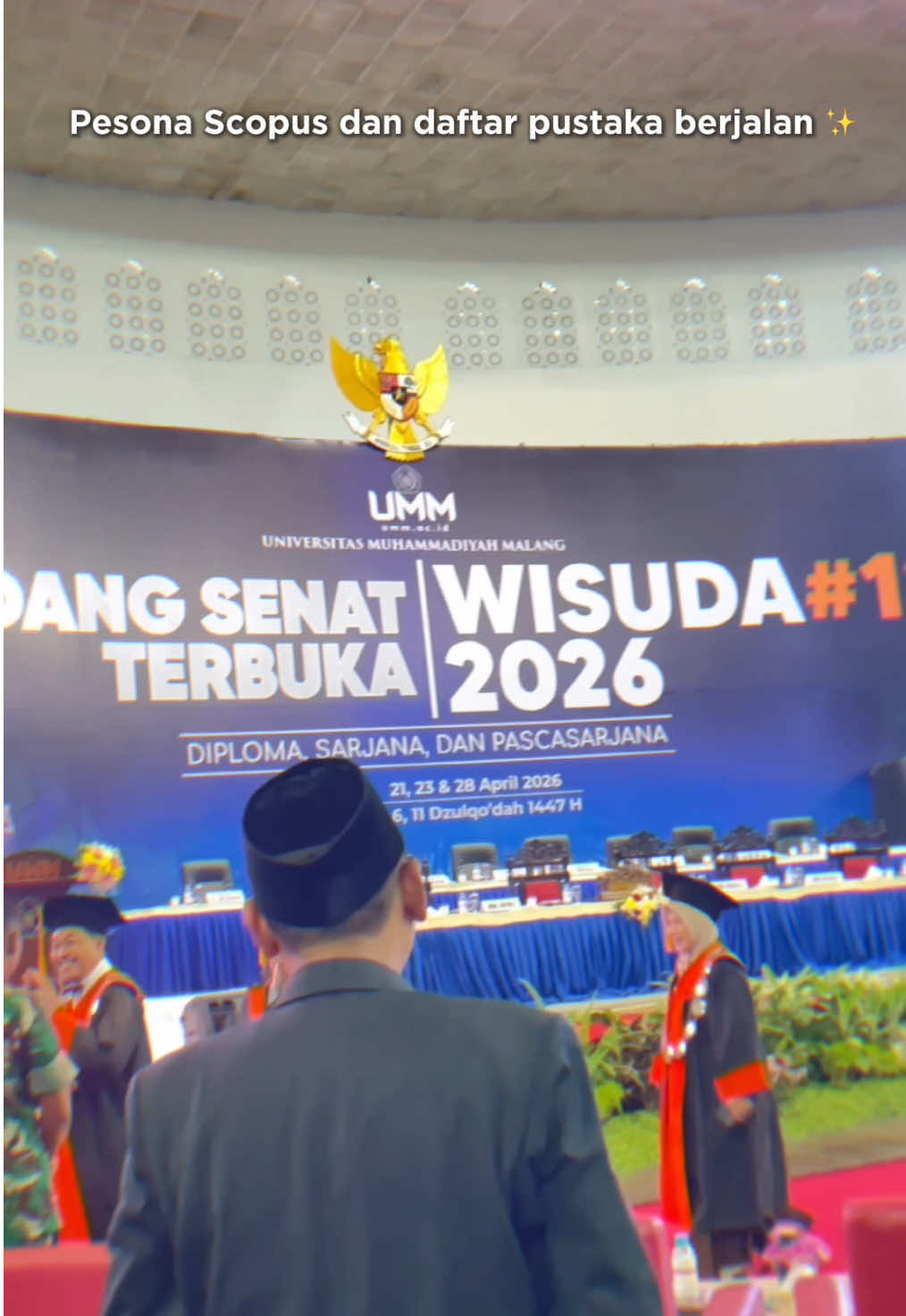 @afifa