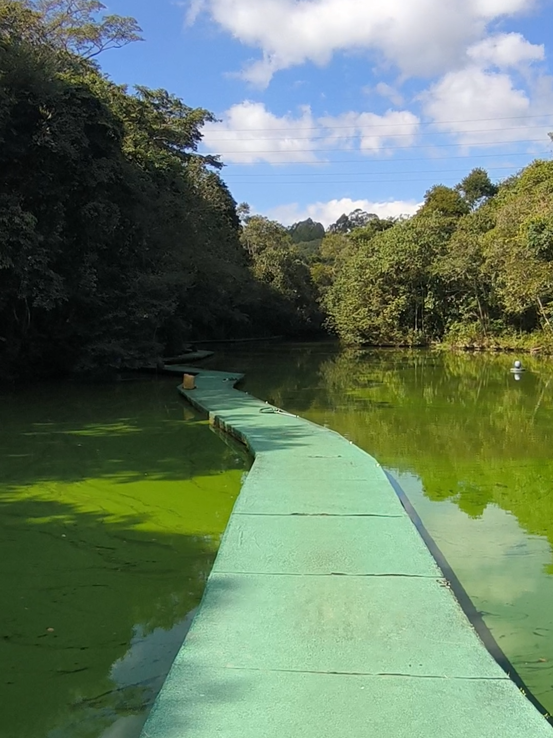 @Patrão da Pesca