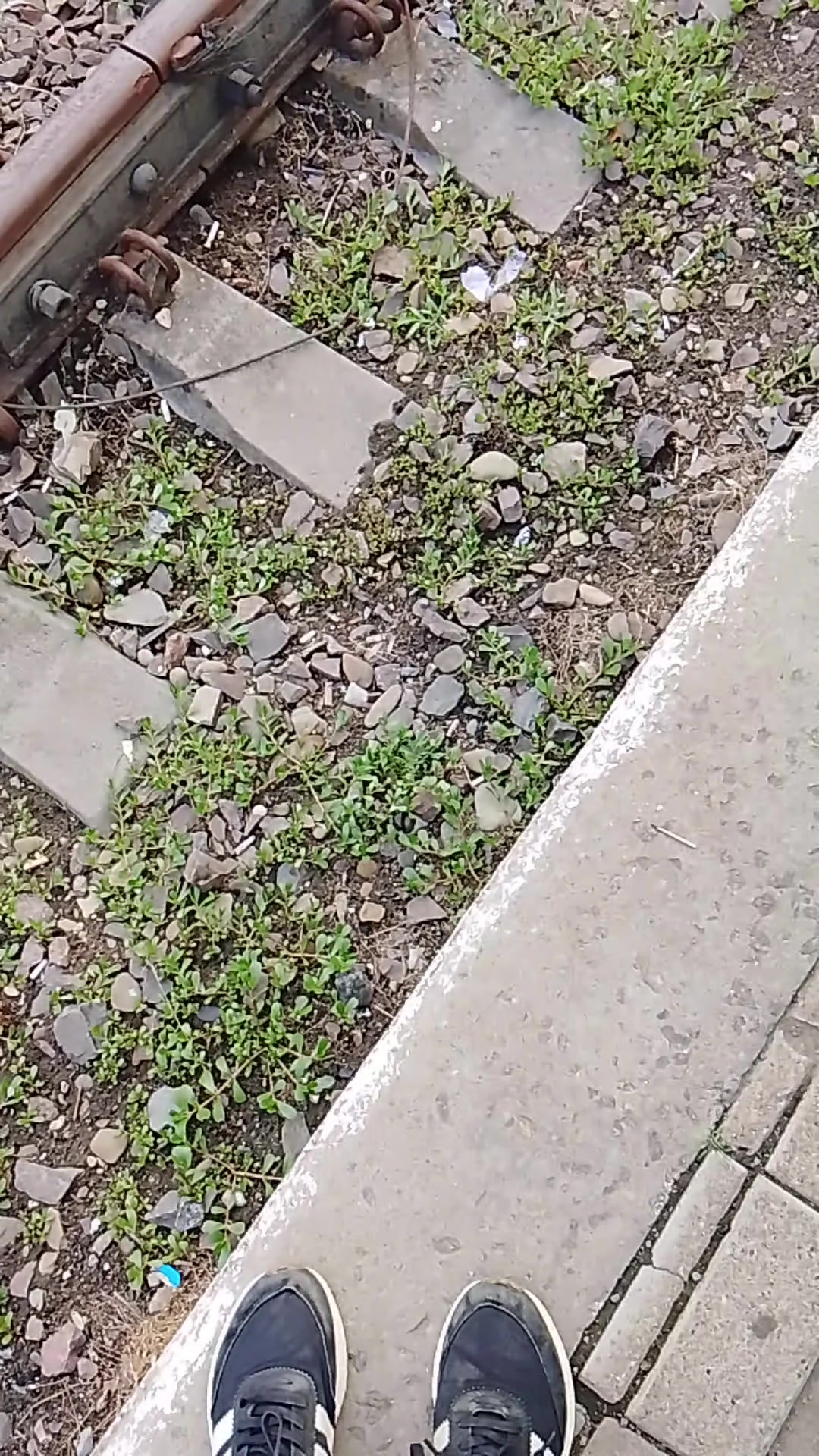 @🎥ІКАРУСНІК ЛЬВОВА🚷