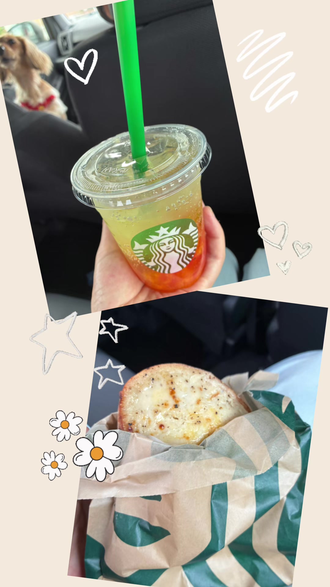 @ใใใ๐ซ๐