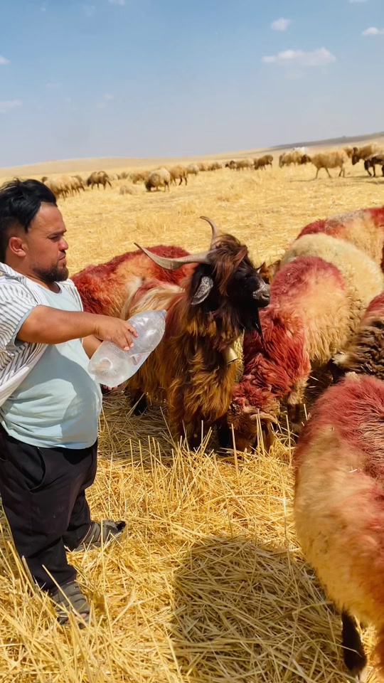 @SEDAT Uçâk|صدام العلي