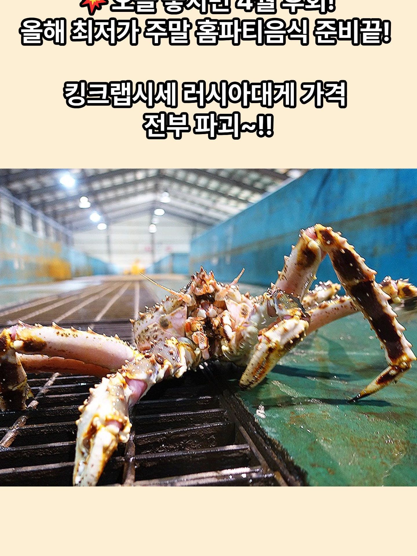 @킹크랩 대게 동해수산유통