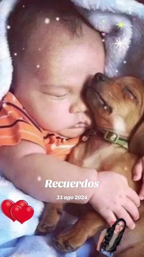 @BEBESHITA 💞
