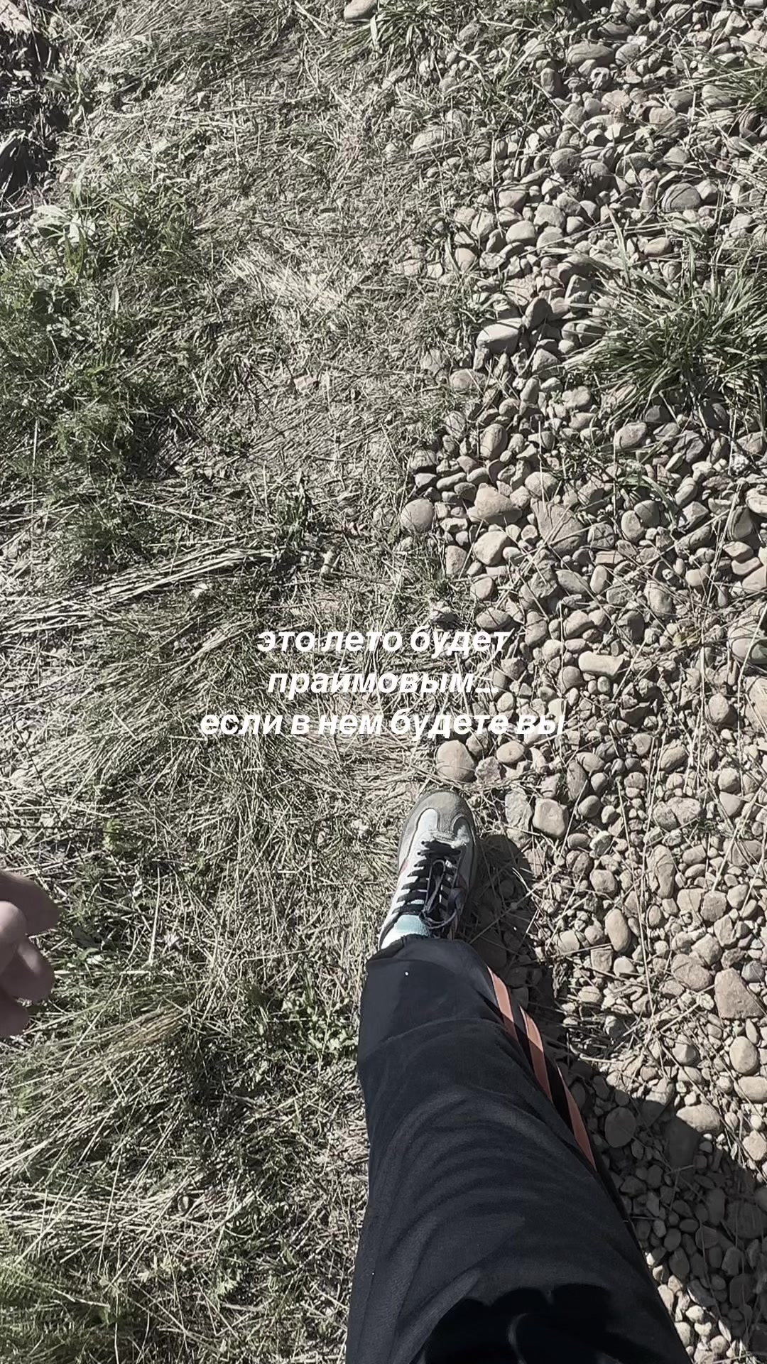 @димка¹