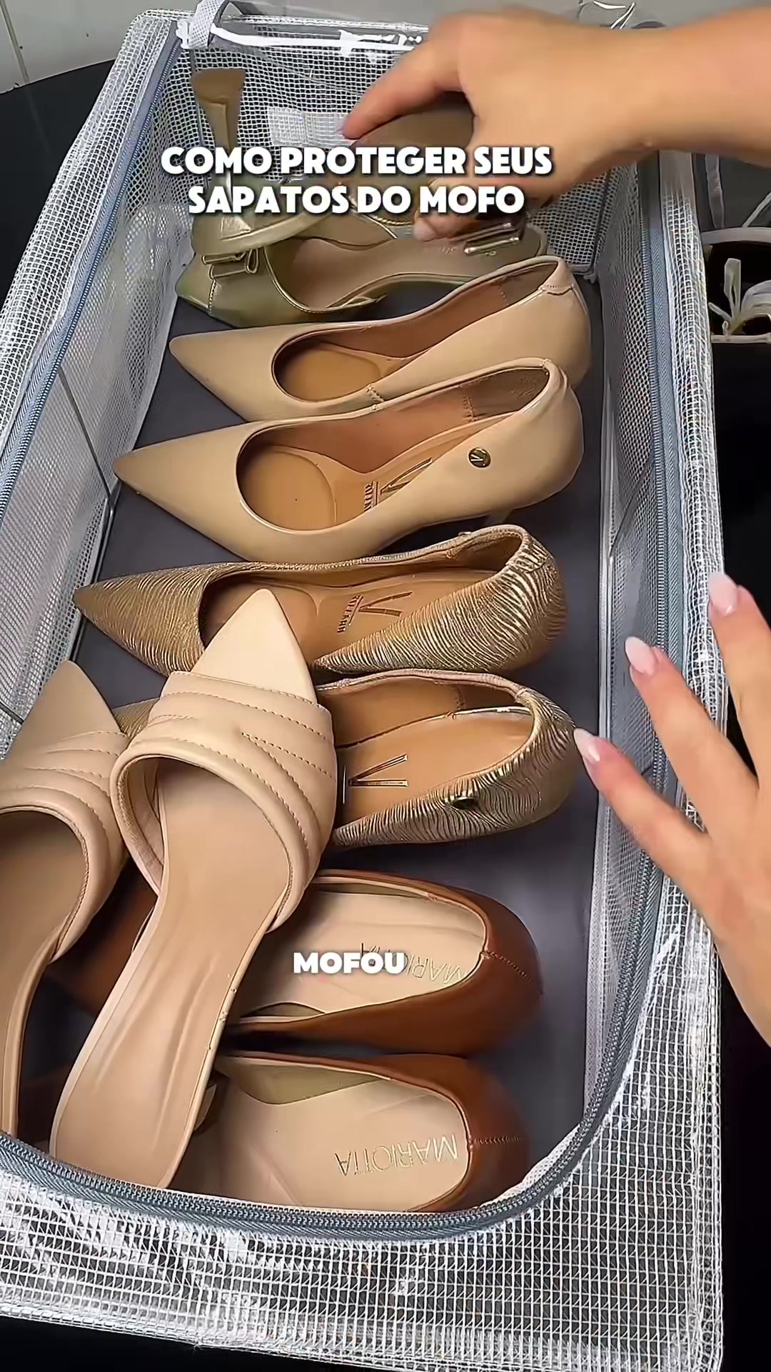 @Patrícia Lacerda